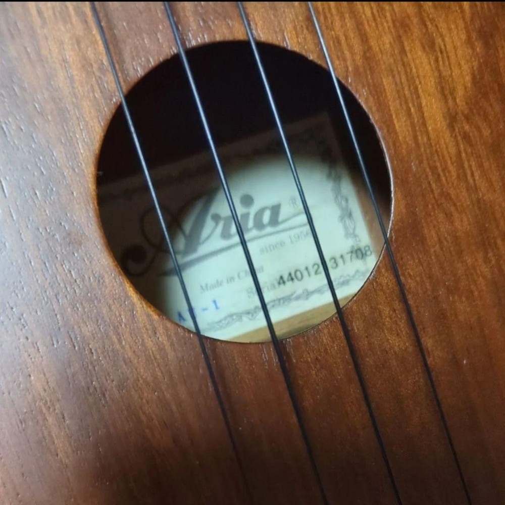 Aria ukulele body with case