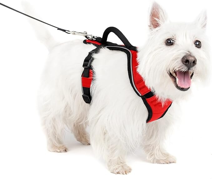 PetSafe EasySport Harness Red - Size Small