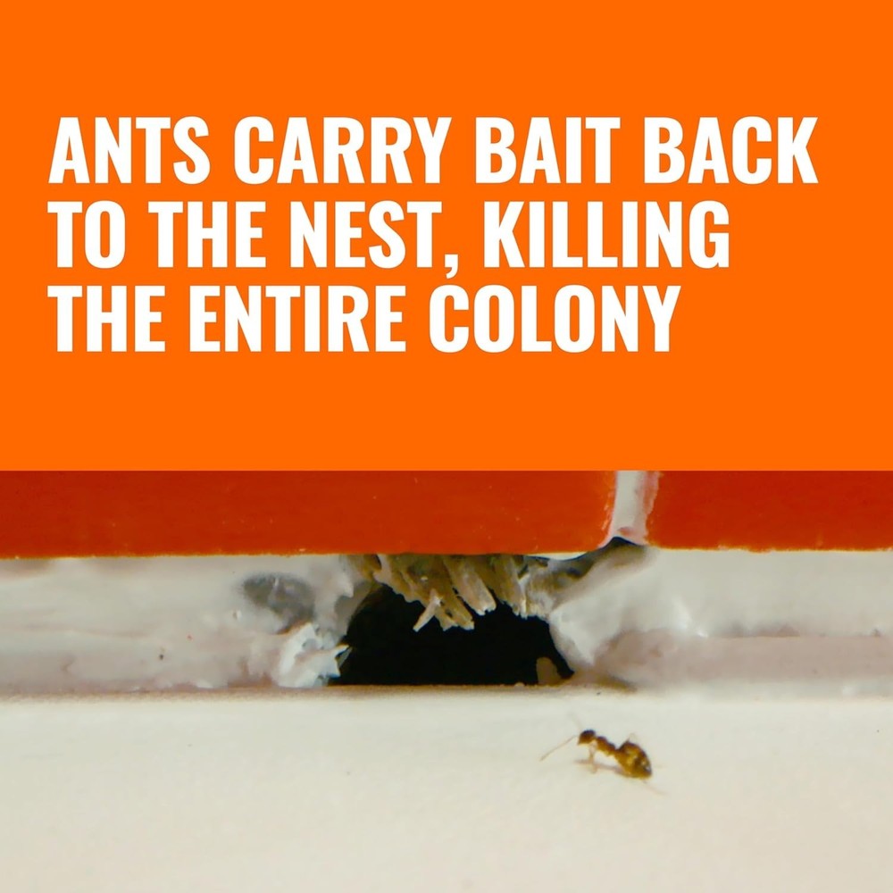 Ant Killer Bait Stations - 12 Count Liquid Bait for Effective Indoor Ant Control