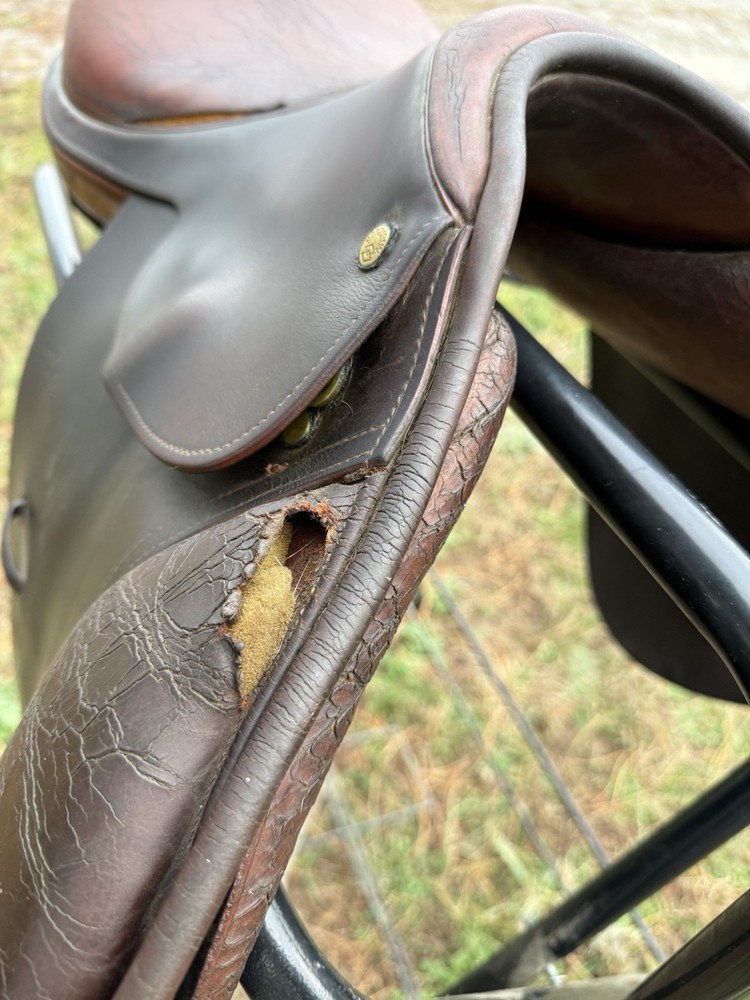 16.5” Northrun Ashland close contact saddle medium tree