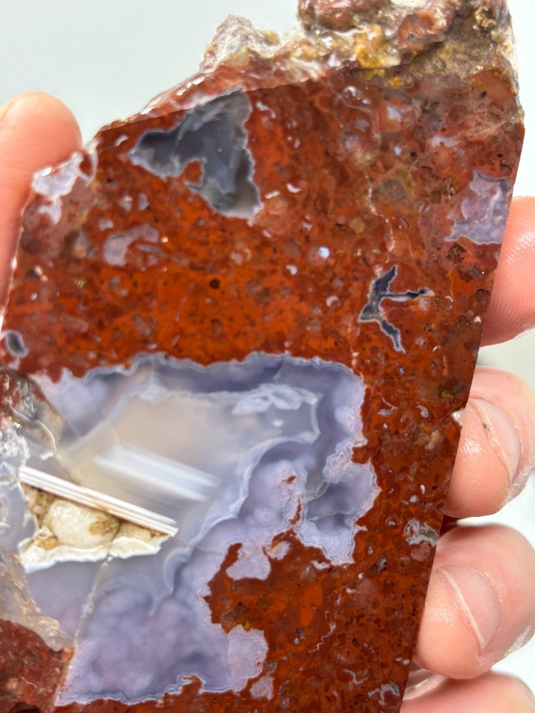 Turkish Agate slab Cabbing Lapidary Collecting Combo Ship aval