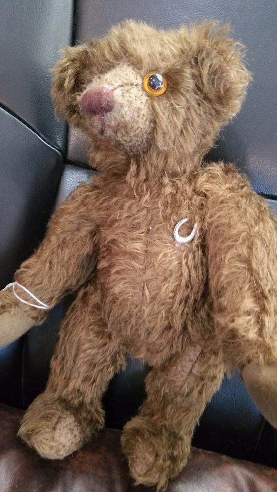 Bear named Winston by Knickerbocker Bears 12" Good Luck Bear