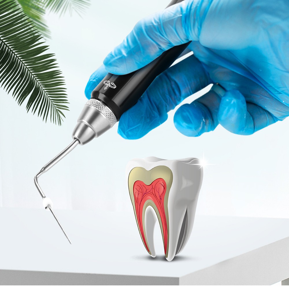 Wireless Dental Endodontic Gutta Percha Obturation System Endo Heated Pen +2 Tip