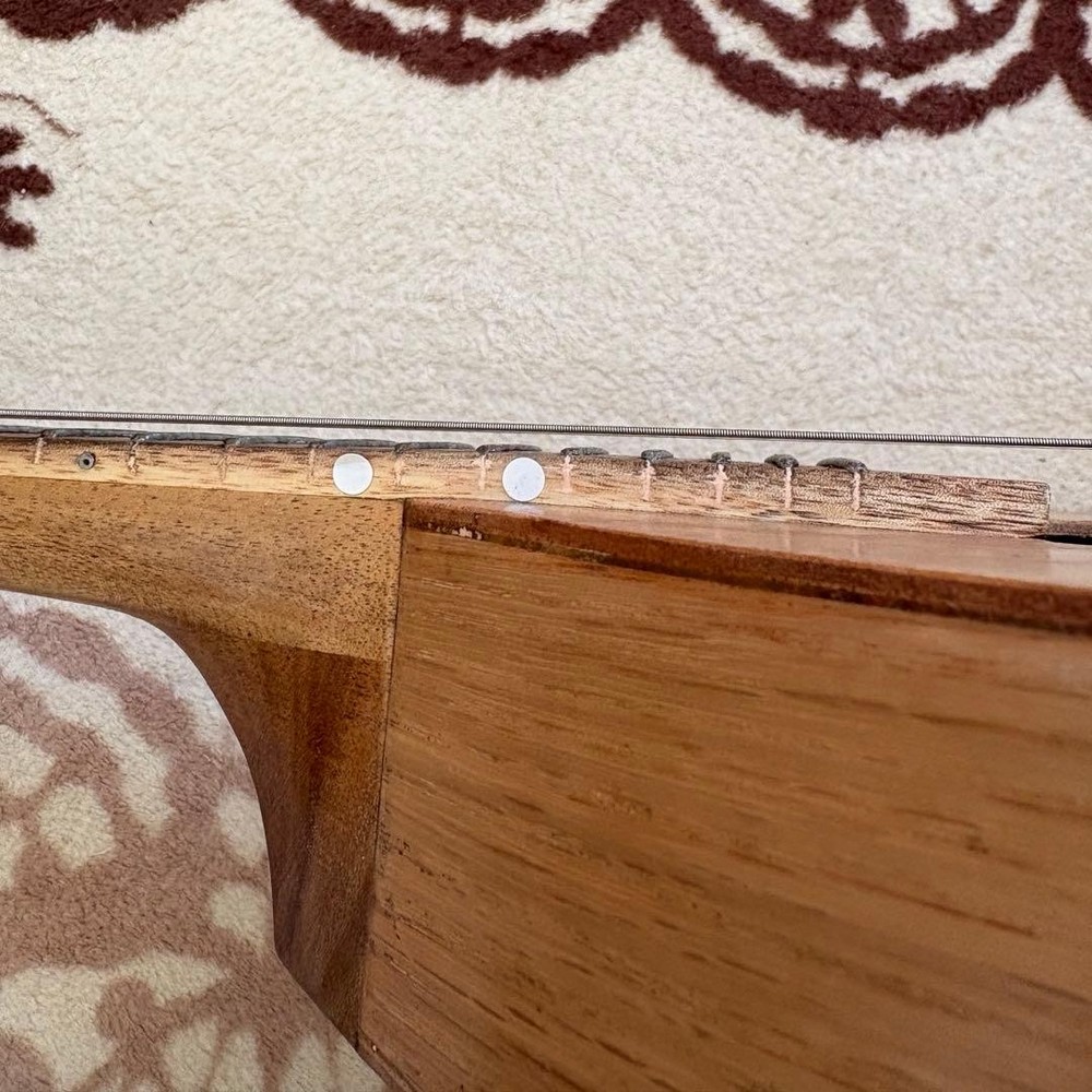 Basiko (flat mandolin) case