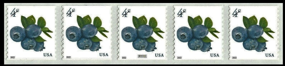 #5653 2022 Blueberries PNC5  Pl #B11111 - MNH