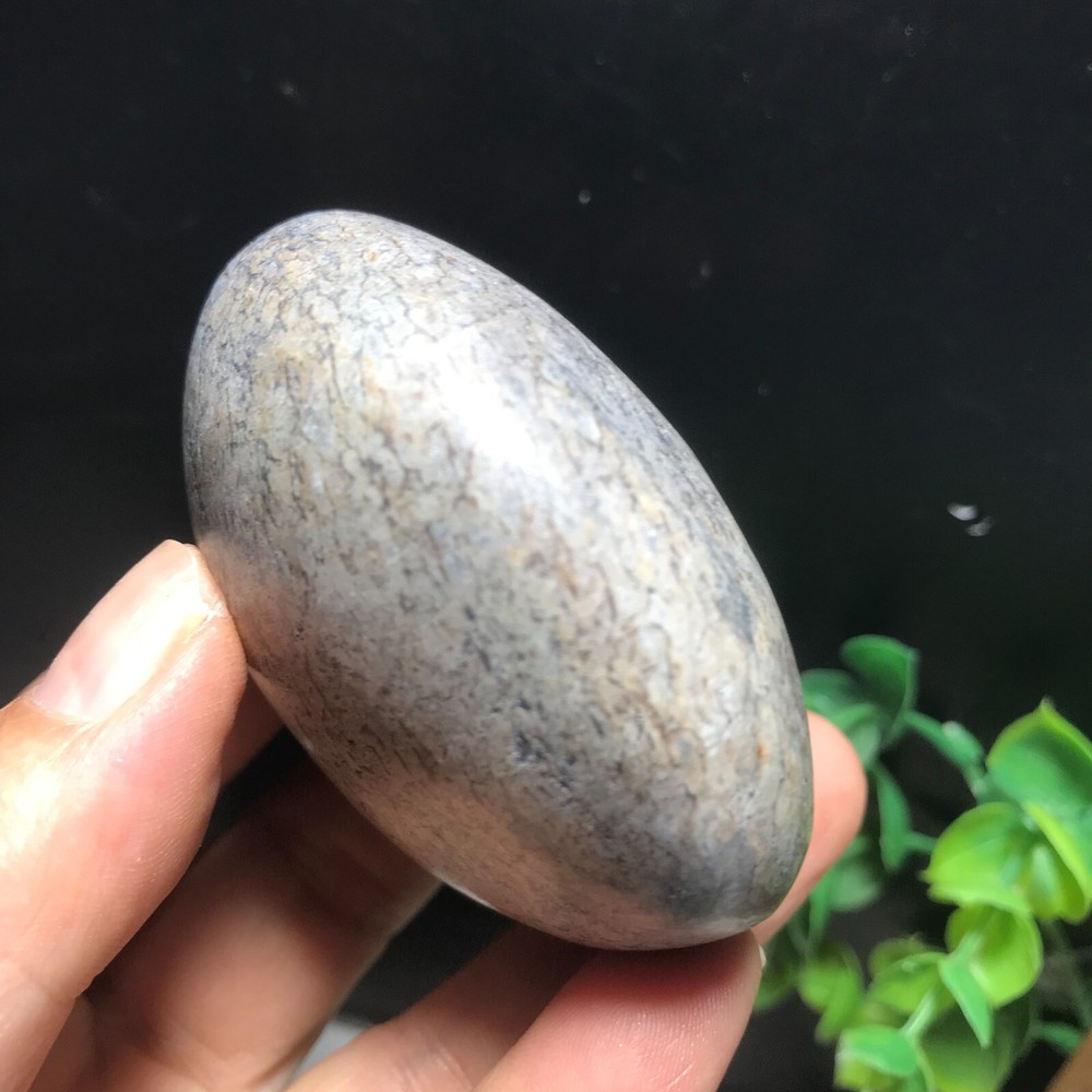148g polished dinosaur bone specimen Madagascar 10