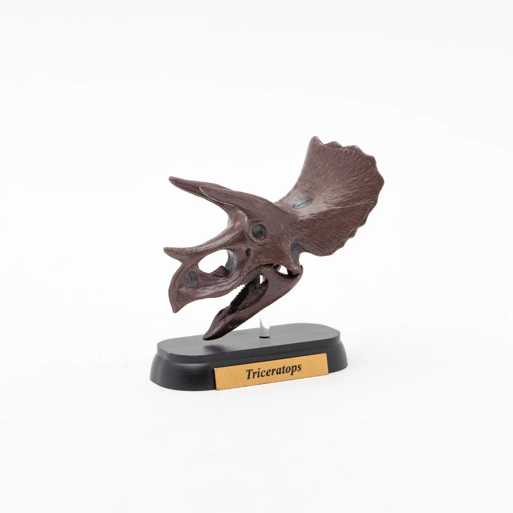 Triceratops Skull Mini Figure Dinosaur Mini Model Favorite