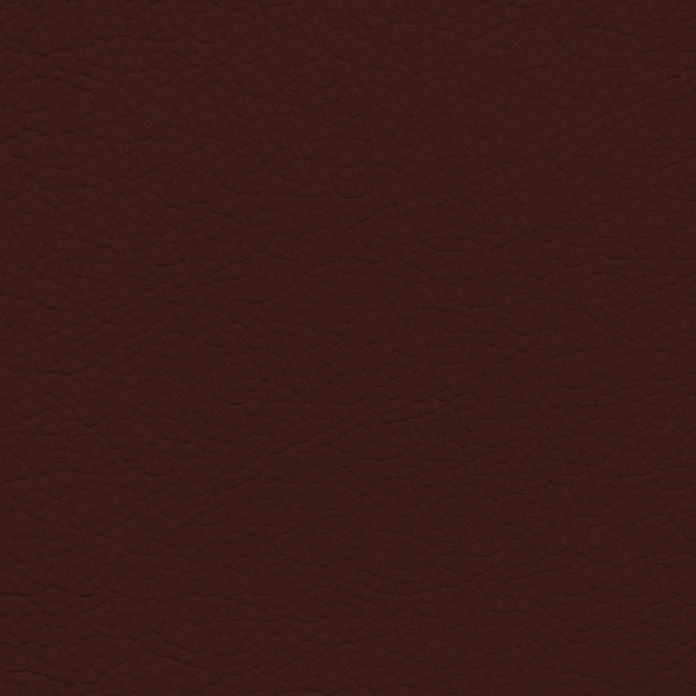 Audi Merlot Red Leather Dye