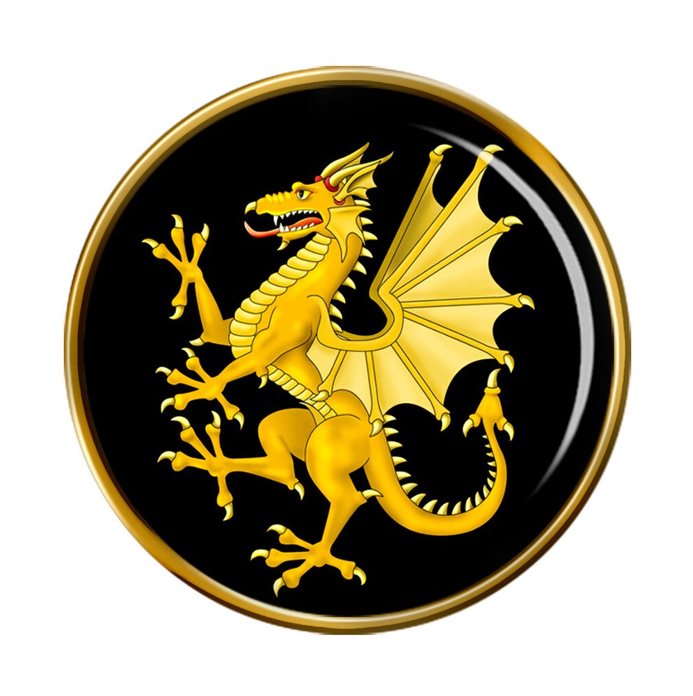 Somerset Dragon Pin Badge