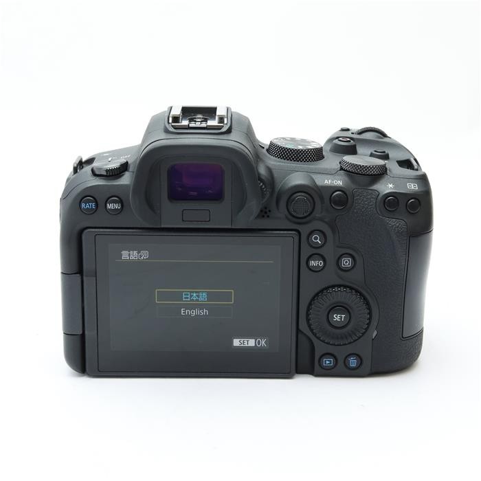 Canon EOS R6 20MP Full-Frame Mirrorless Camera Body #101