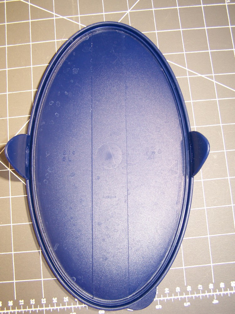 VINTAGE TUPPERWARE 21 CUP SHEER CONTAINER # 4002 LID # 4001