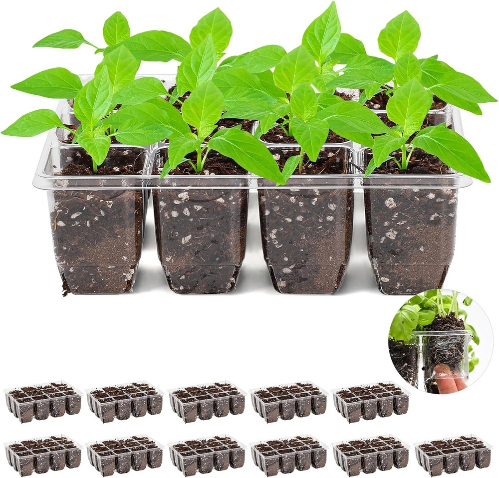 144-Cell Seed Tray with Drainage Holes, Reusable & Durable, Clear for Root Monit