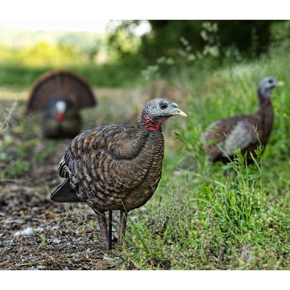 Avian X LCD Breeder Hen Turkey Decoy
