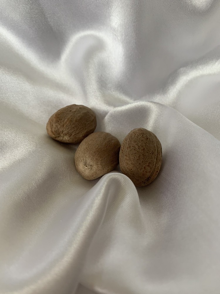 Nutmeg Good luck charms -2 pcs