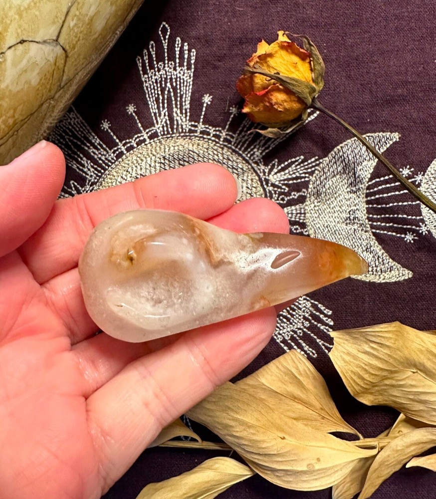 Flower Agate Raven Skull, Natural Crystal, Metaphysical