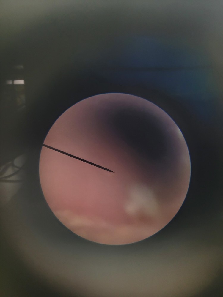 My First Lab Ultimate Digital Microscope Model MFL-85 - with Accessory Kit/Slide