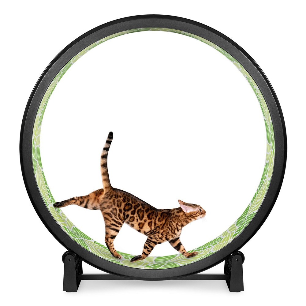 One Fast Cat Exercise Wheel - Gen 7 - 48" Diameter - Made in the US