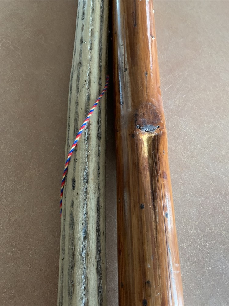 2 RAINSTICKS