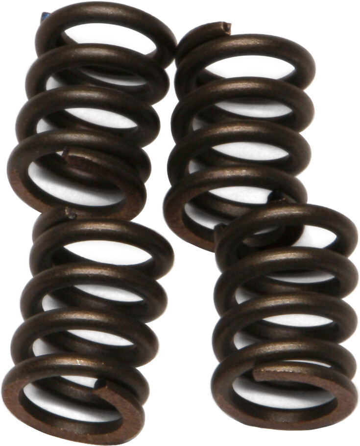 EBC CSK22 Clutch Springs CSK22