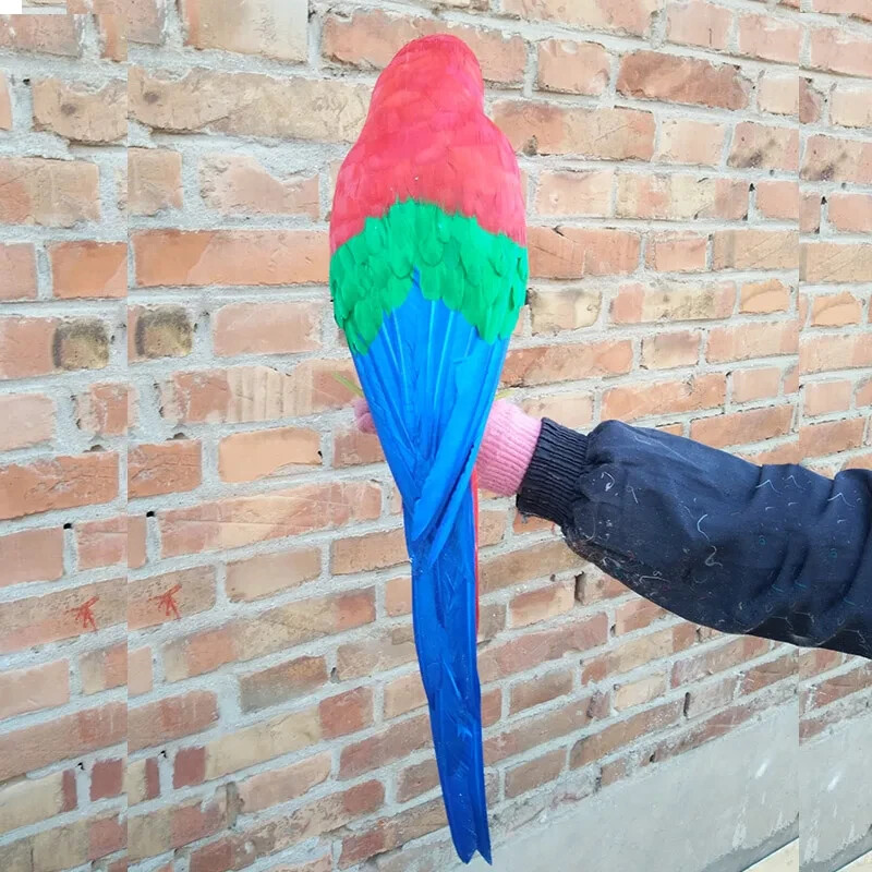 big simulation parrot model foam&feather red parrot bird gift about 60cm