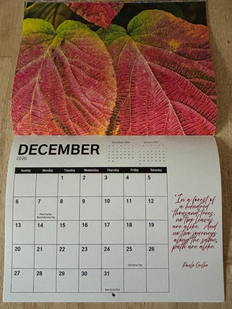 Tree Chronicles - 2026- 12-Month Wall Calendar - Great Tree Photography!