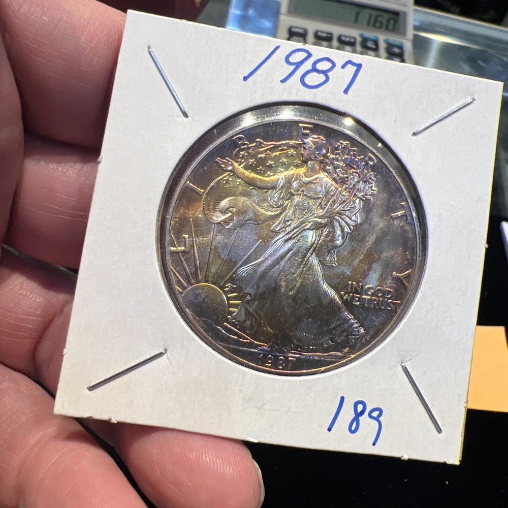 1987 American Silver Eagle 1 oz .999 Silver - Beautiful Obverse & Reverse Toning
