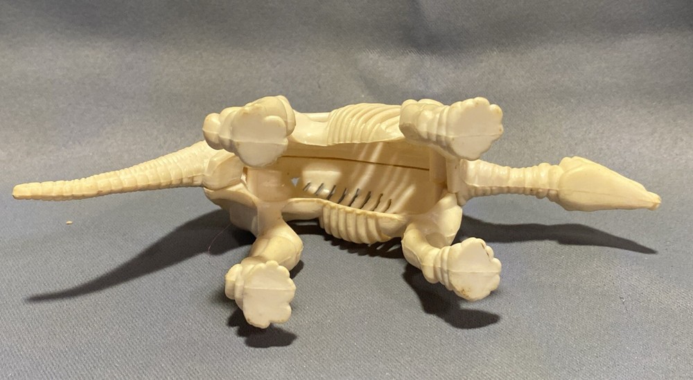 Dinosaur Skeleton Figures Prehistoric Animal 6” Plastic