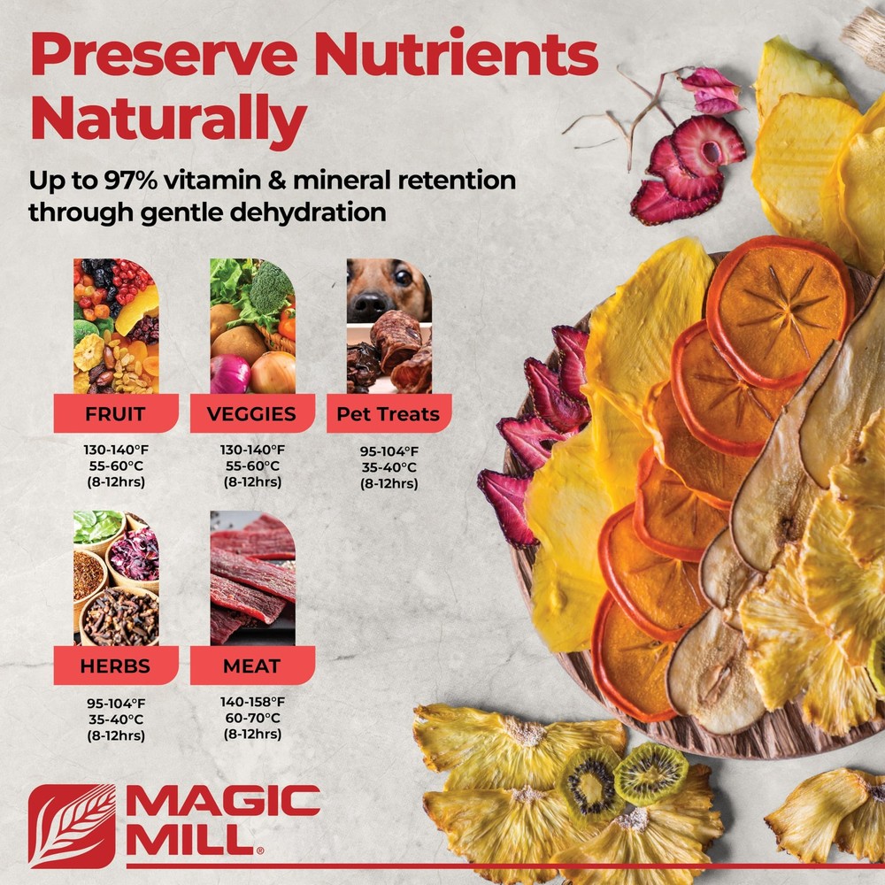 Magic Mill Food Dehydrator Machine | 5 Stackable 1 Count (Pack of 1), silver
