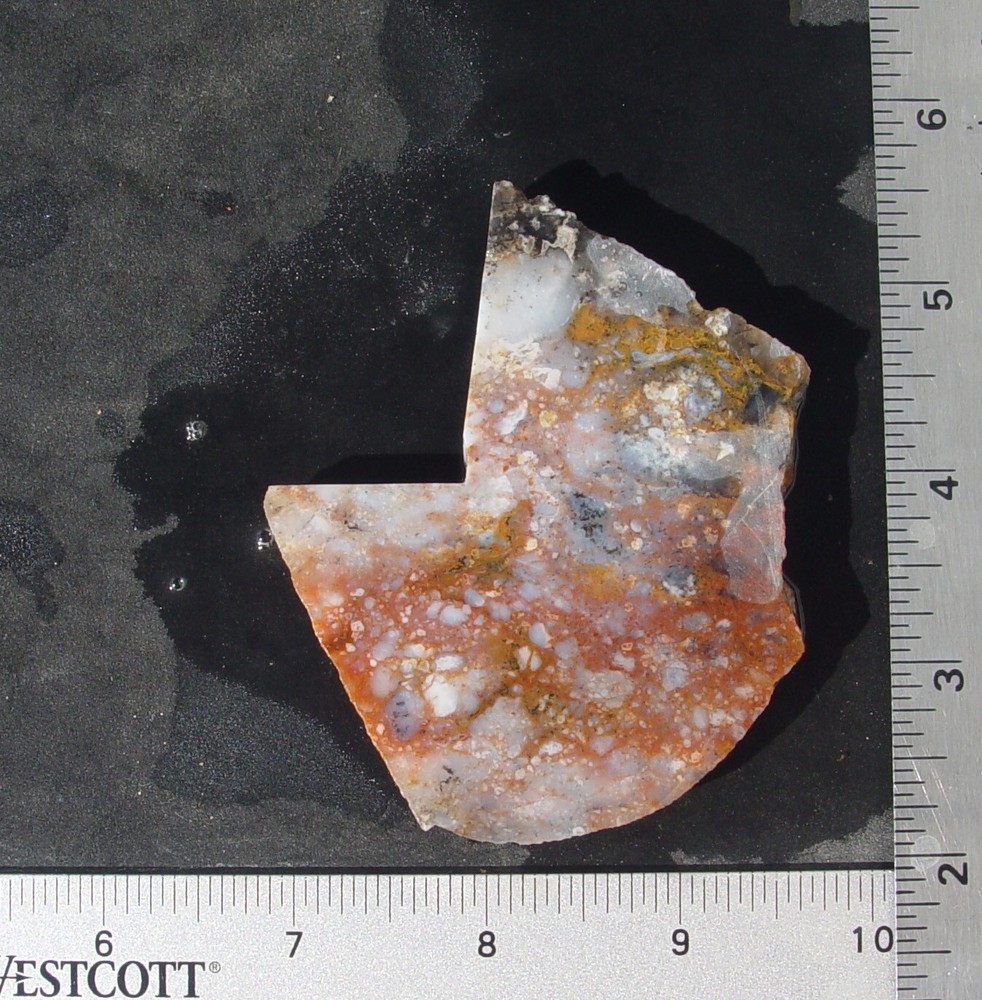 Red white and black Agate Lapidary Slab 1050