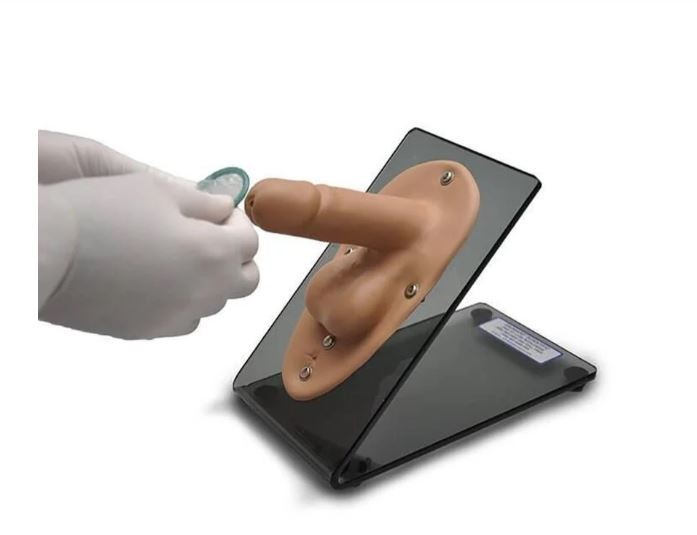 Male Condom Training Model