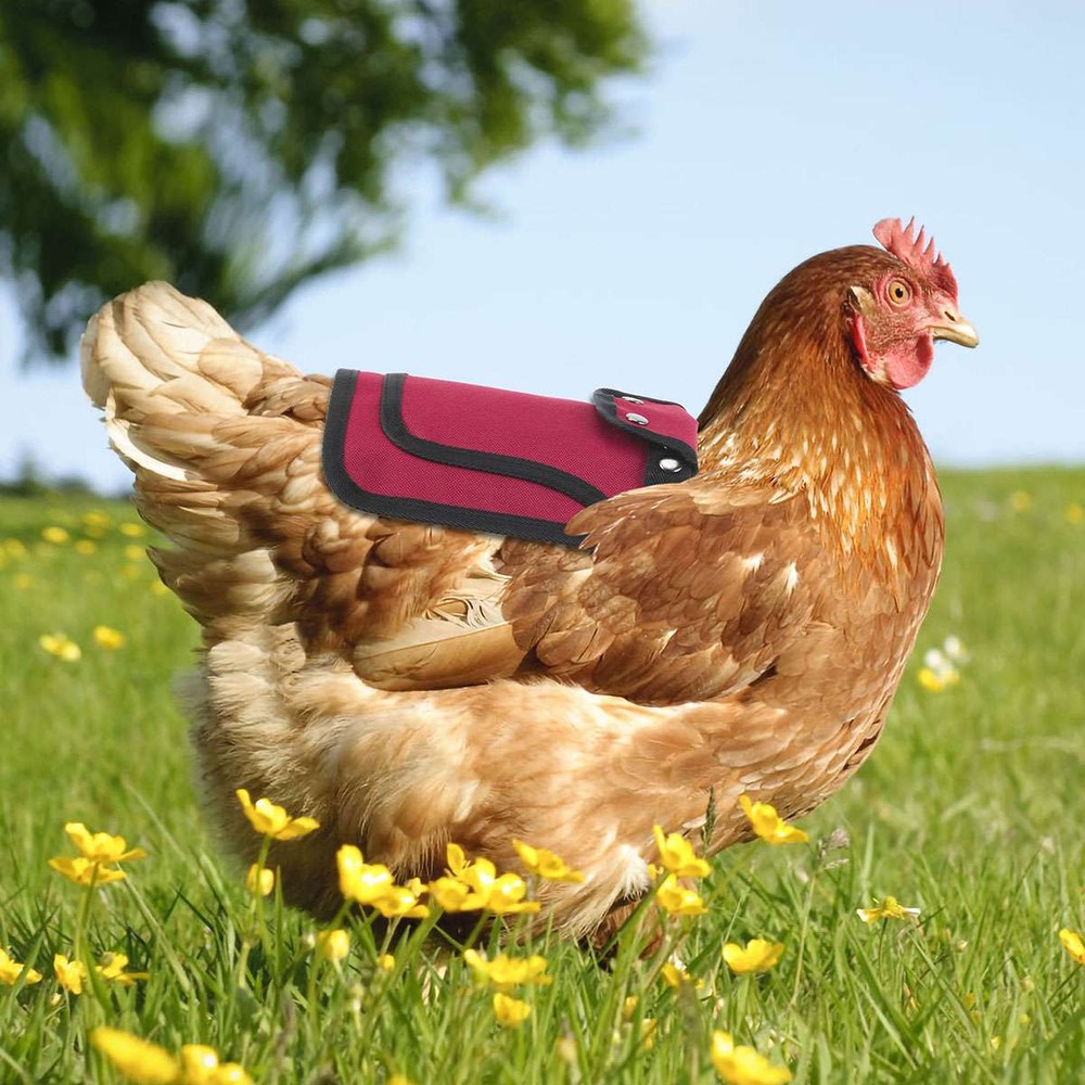 Chicken Saddle Apron Hen Back for Protection Backyard Poultry Protector