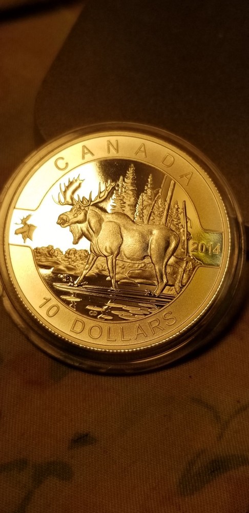 O Canada 2014 Proof Gem $10 Silver Coin Moose.