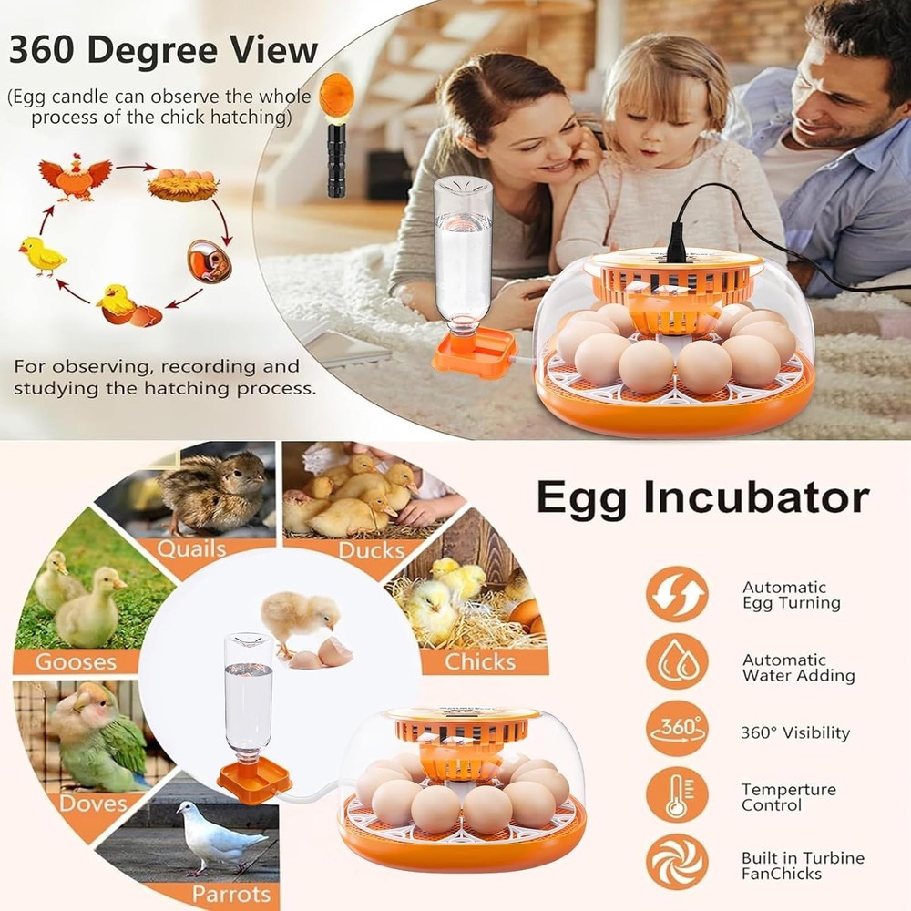 Compact 12 Egg Incubator - Automatic Egg Turning & Heated Stable Environment