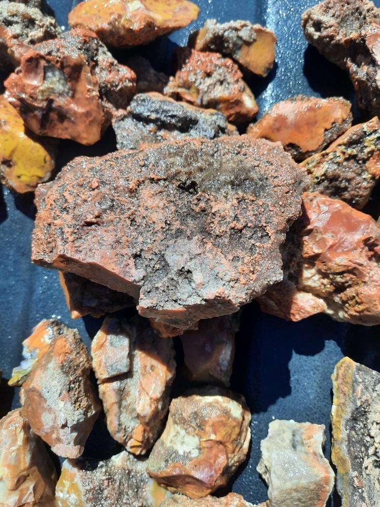 Red/Yellow Jasper Agate Chert Nodule Botryoidal Rough Lot!