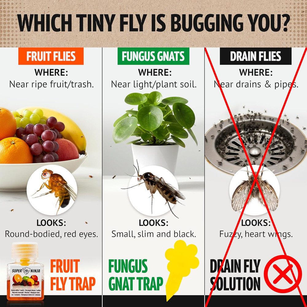 Super Ninja Fruit Fly Traps for Indoors - 4 Pack, Highly Effective Fruit Fly Cat