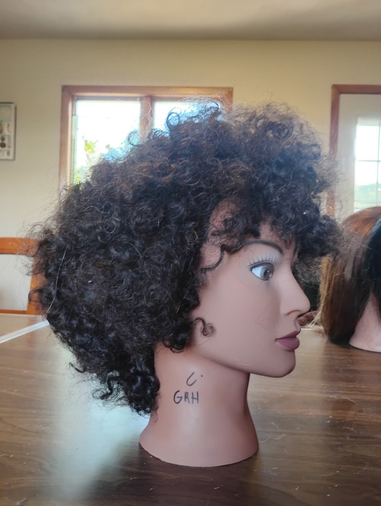 Marianna Mannequin Head Miss Ameri-Kin Cosmetology Real Hair