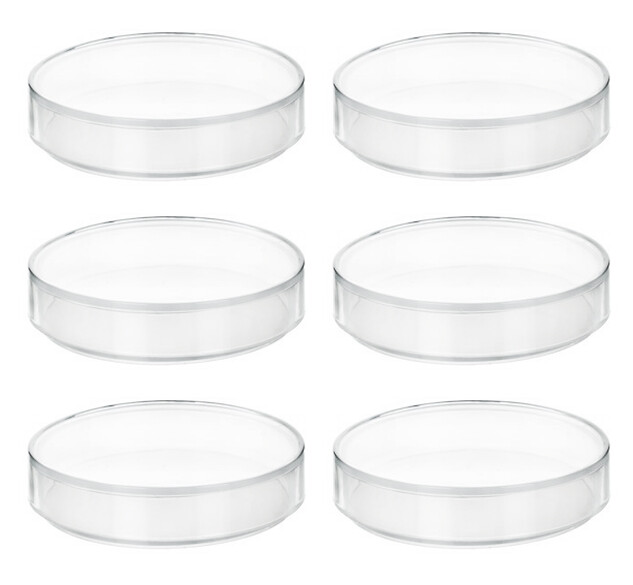 6PK Plastic Petri Dishes - 3.75" Dia., 0.5" Depth - Polypropylene - Eisco Labs