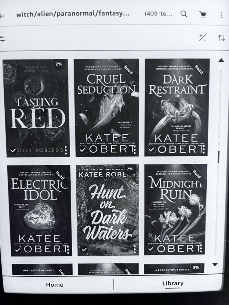 Amazon Kindle eBook Reader 32GB with books bundle