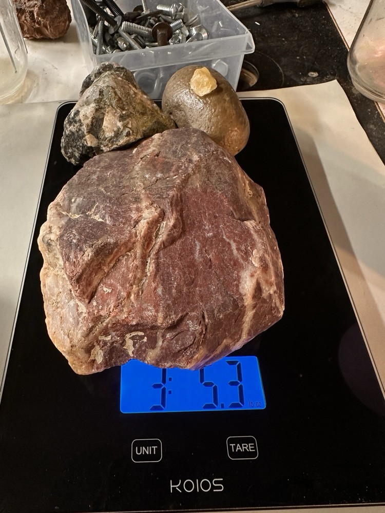 Petrified Steak Dinner