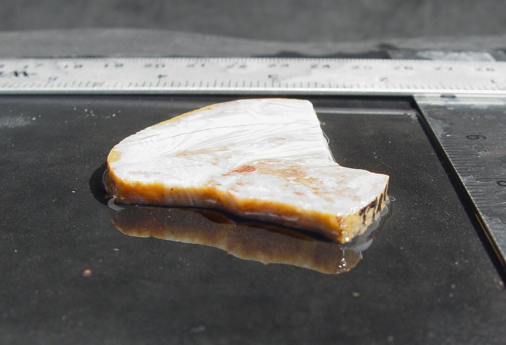 Prairie Agate Lapidary Slab T743