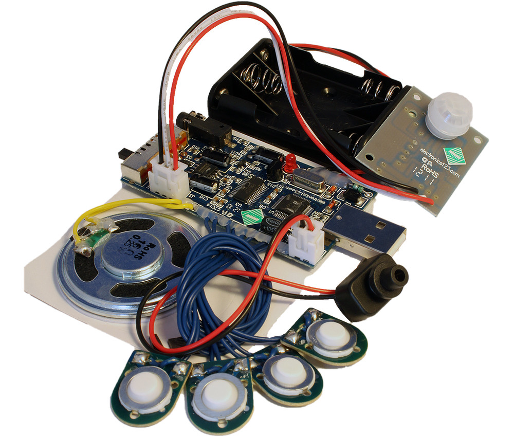 300 Second USB Recording Module w/ Light Sensor and PIR for Motion Activation