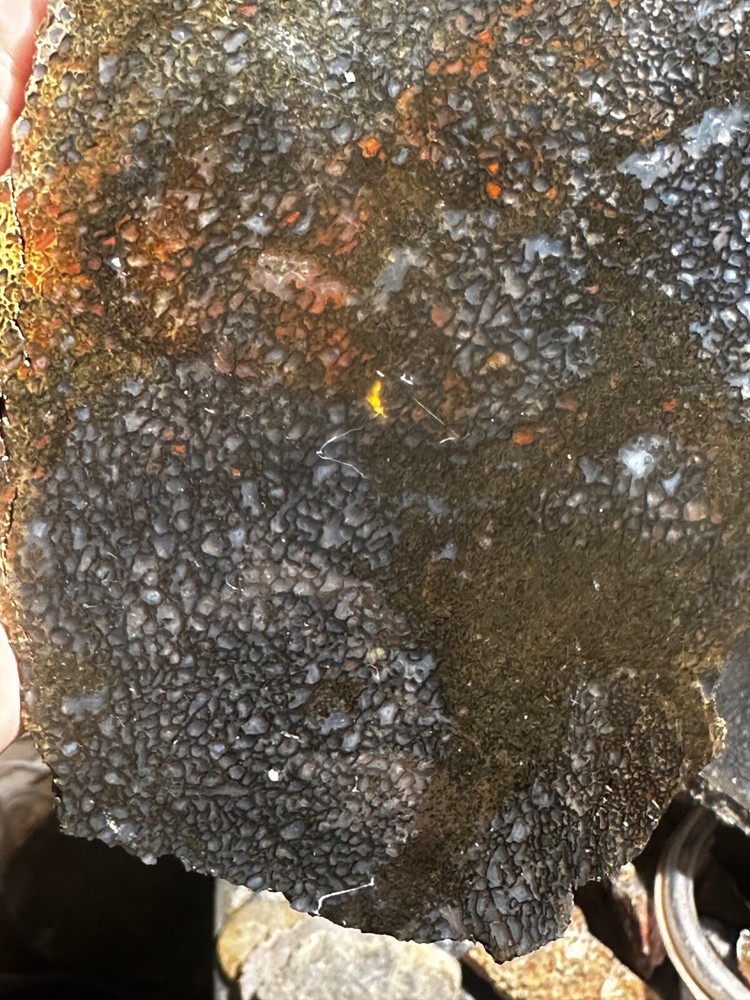 Dinosaur bone rough **hxtled large slab.