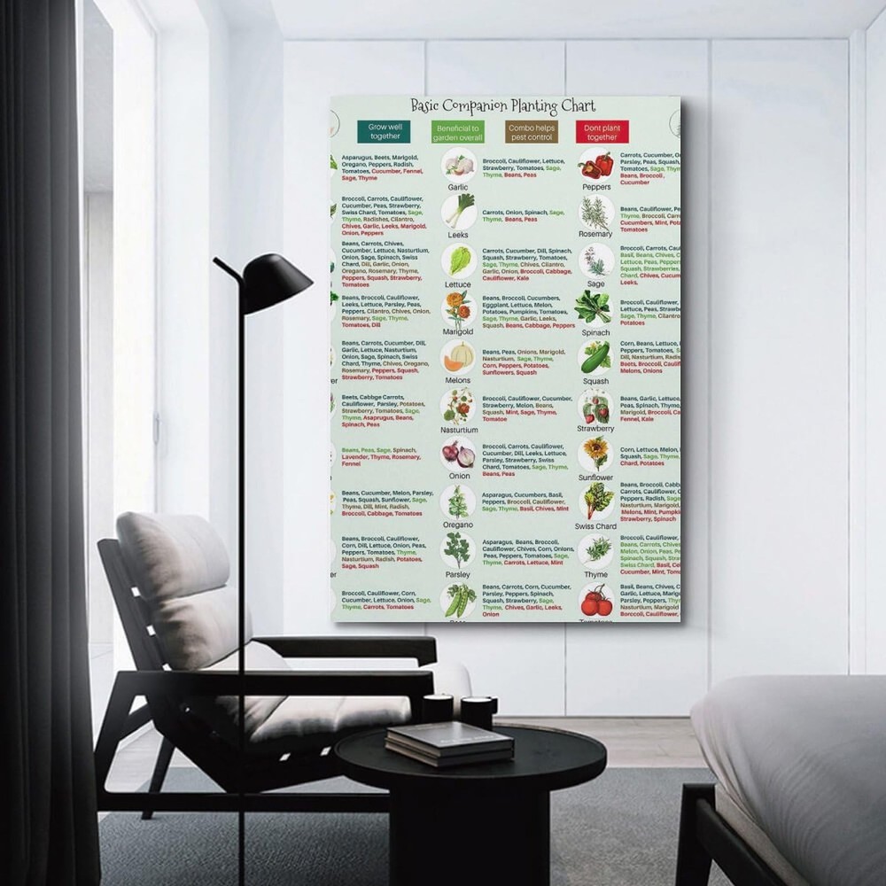 Basic Companion Planting Chart Poster Garden Planting Types Reference Guide W...