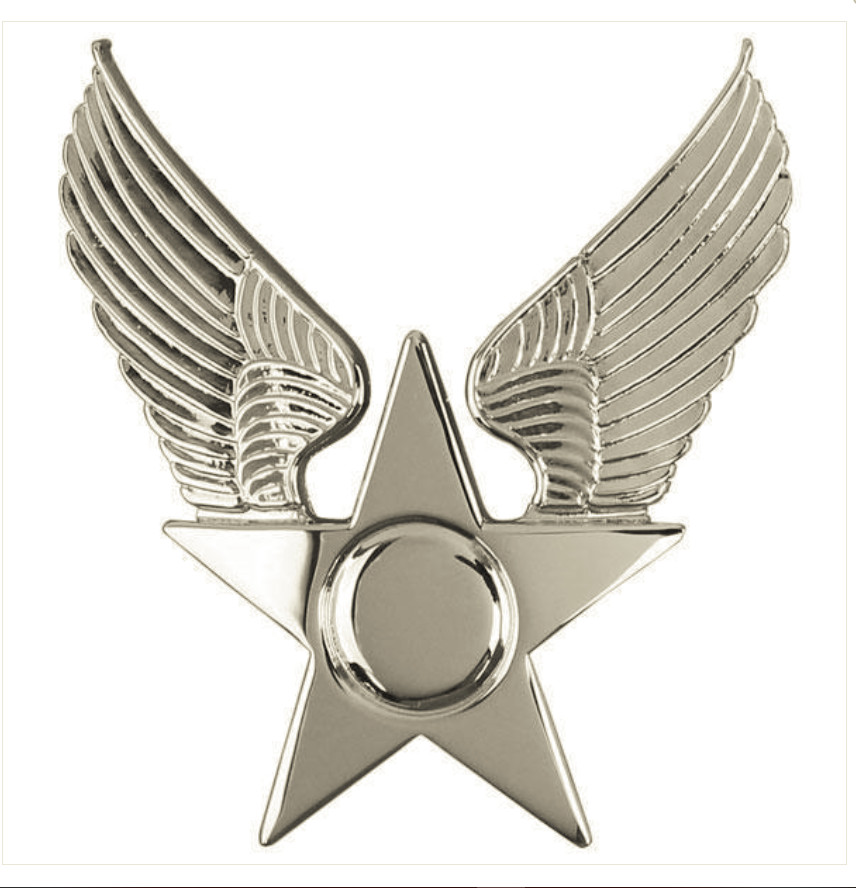 Vanguard AIR FORCE CAP DEVICE: HONOR GUARD HAT EMBLEM - ENLISTED