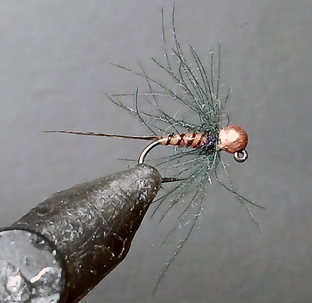 6 Jack Daniel's fly tungsten bead Jack Daniel Perdigon soft hackle