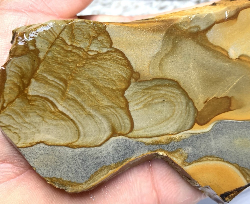 Disaster Peak Picture Jasper Slab