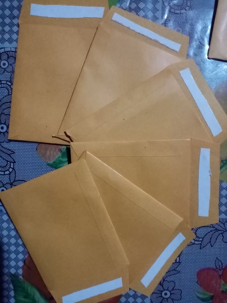 50Pcs Seed Saving Envelopes, Bulk 2.5x3 Empty 80gsm Packets Seeds container pack