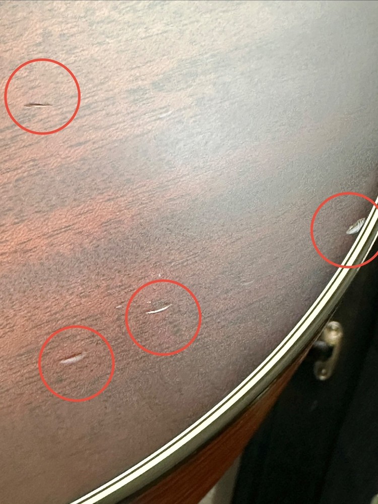 Taylor 324CE 2019 - Shaded Edgeburst