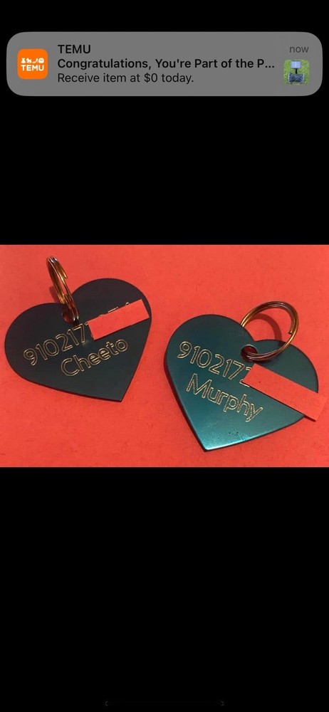 engraved pet id tags