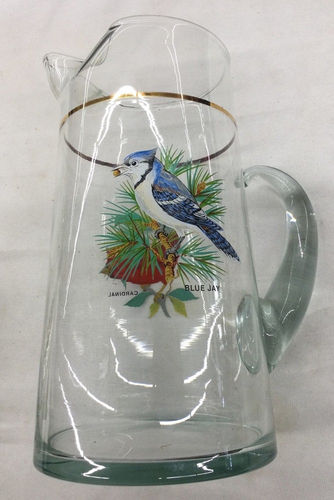 Bird Scene Glass Pitcher, 2 Glasses, Preowned